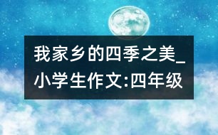 我家鄉(xiāng)的四季之美_小學(xué)生作文:四年級