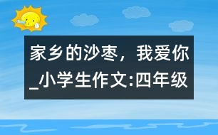 家鄉(xiāng)的沙棗，我愛(ài)你_小學(xué)生作文:四年級(jí)