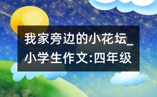 我家旁邊的小花壇_小學生作文:四年級