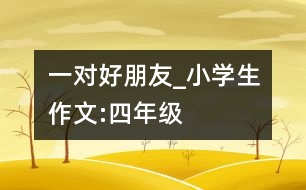 一對好朋友_小學生作文:四年級