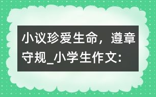 小議“珍愛生命，遵章守規(guī)”_小學(xué)生作文:四年級