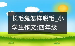 長毛兔怎樣脫毛_小學(xué)生作文:四年級