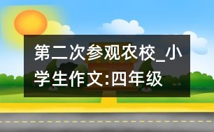 第二次參觀農校_小學生作文:四年級