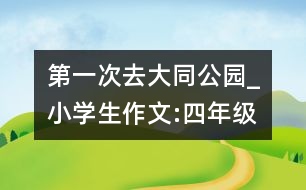 第一次去大同公園_小學(xué)生作文:四年級