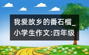 我愛故鄉(xiāng)的番石榴_小學(xué)生作文:四年級(jí)