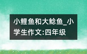 小鯉魚(yú)和大鯰魚(yú)_小學(xué)生作文:四年級(jí)