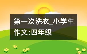 第一次洗衣_小學(xué)生作文:四年級