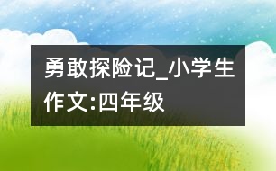 勇敢探險(xiǎn)記_小學(xué)生作文:四年級(jí)