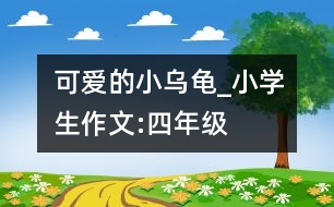 可愛的小烏龜_小學(xué)生作文:四年級(jí)