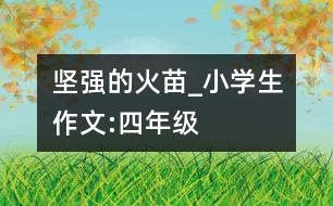 堅強的火苗_小學生作文:四年級