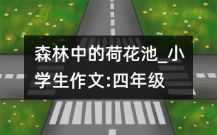 森林中的荷花池_小學(xué)生作文:四年級(jí)