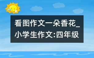 看圖作文一朵香花_小學(xué)生作文:四年級(jí)