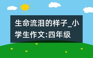 生命流淚的樣子_小學(xué)生作文:四年級