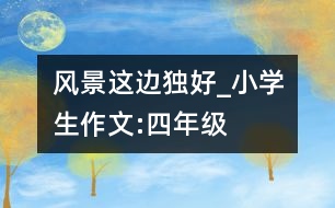 風(fēng)景這邊獨(dú)好_小學(xué)生作文:四年級(jí)