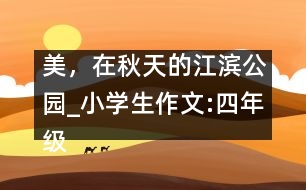 美，在秋天的江濱公園_小學(xué)生作文:四年級