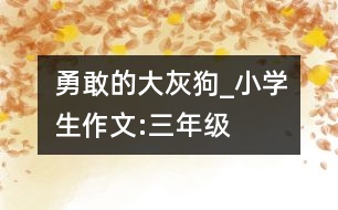 勇敢的大灰狗_小學生作文:三年級