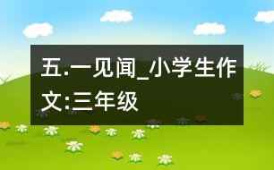 “五.一”見(jiàn)聞_小學(xué)生作文:三年級(jí)