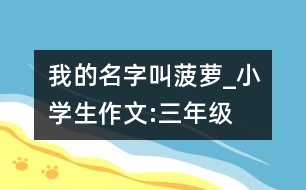 我的名字叫菠蘿_小學(xué)生作文:三年級(jí)