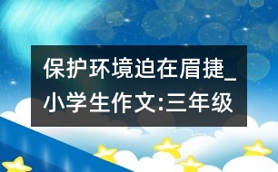 保護(hù)環(huán)境迫在眉捷_小學(xué)生作文:三年級(jí)