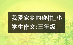 我愛(ài)家鄉(xiāng)的碰柑_小學(xué)生作文:三年級(jí)