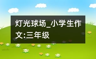 燈光球場_小學(xué)生作文:三年級