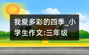 我愛多彩的四季_小學(xué)生作文:三年級