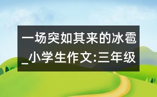 一場突如其來的冰雹_小學(xué)生作文:三年級