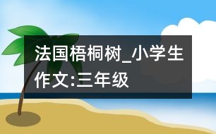 法國梧桐樹_小學生作文:三年級