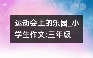 運(yùn)動(dòng)會(huì)上的樂(lè)園_小學(xué)生作文:三年級(jí)