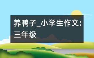 養(yǎng)鴨子_小學(xué)生作文:三年級