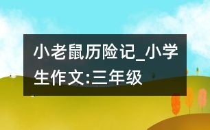 小老鼠歷險(xiǎn)記_小學(xué)生作文:三年級(jí)