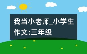 我當小老師_小學生作文:三年級