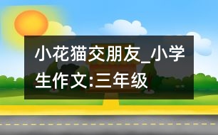 小花貓交朋友_小學生作文:三年級