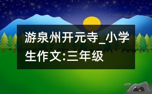 游泉州開元寺_小學生作文:三年級