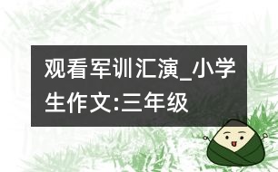 觀看軍訓匯演_小學生作文:三年級