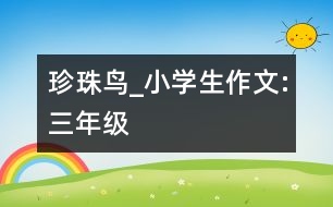 珍珠鳥_小學生作文:三年級