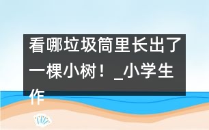 看哪垃圾筒里長出了一棵小樹！_小學(xué)生作文:三年級