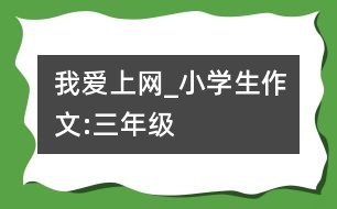 我愛(ài)上網(wǎng)_小學(xué)生作文:三年級(jí)