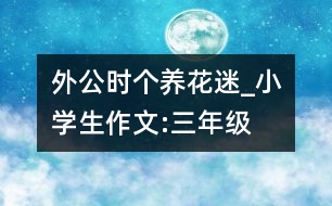 外公時個養(yǎng)花迷_小學(xué)生作文:三年級