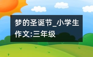 夢的圣誕節(jié)_小學(xué)生作文:三年級