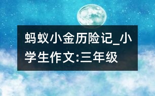 螞蟻小金歷險(xiǎn)記_小學(xué)生作文:三年級