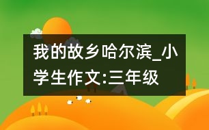 我的故鄉(xiāng)哈爾濱_小學(xué)生作文:三年級