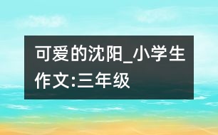 可愛的沈陽_小學生作文:三年級