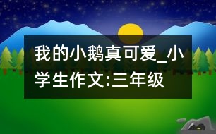 我的小鵝真可愛_小學生作文:三年級