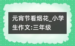 元宵節(jié)看煙花_小學(xué)生作文:三年級(jí)