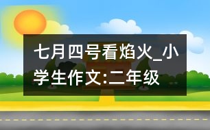 七月四號(hào)看焰火_小學(xué)生作文:二年級(jí)