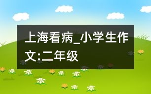 上?？床小學(xué)生作文:二年級(jí)