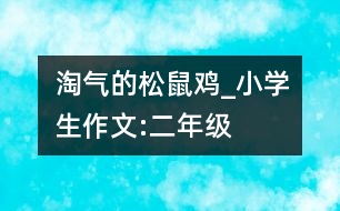 淘氣的松鼠雞_小學生作文:二年級