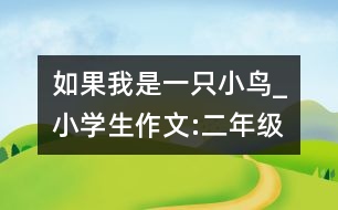 如果我是一只小鳥_小學生作文:二年級