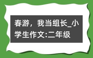 春游，我當(dāng)組長_小學(xué)生作文:二年級